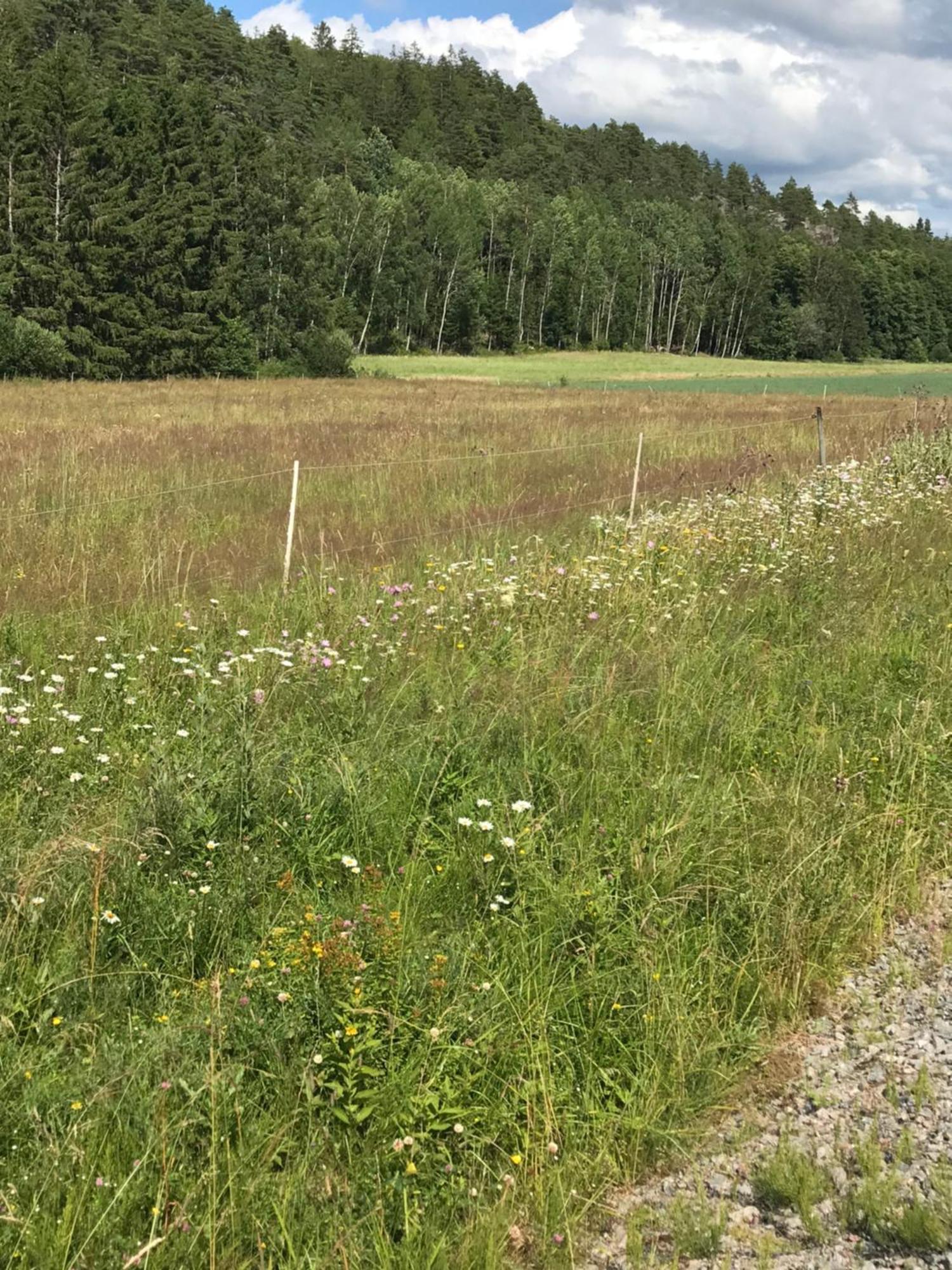 Charmigt Aeldre Hus, Laddbox 22 Kw, 5 Bil-Minuter Till Bad Strömstad Esterno foto